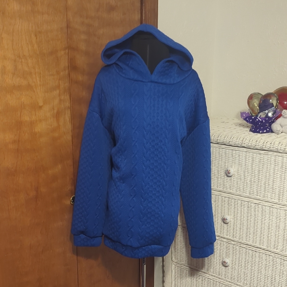 Cozy Blue Hooded Sweater